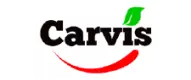 Logo Carvis