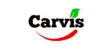Logo carvis