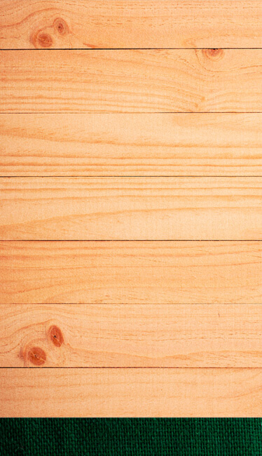 Banner Header